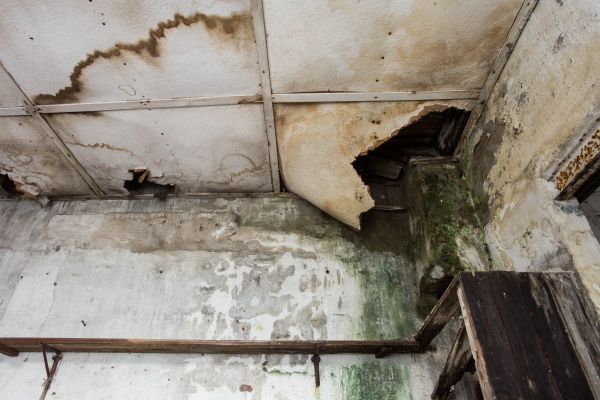 Water Damage Service in Leland