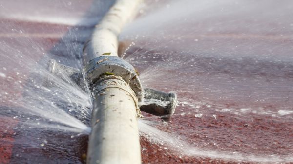 Burst Pipe Cleanup in Leland