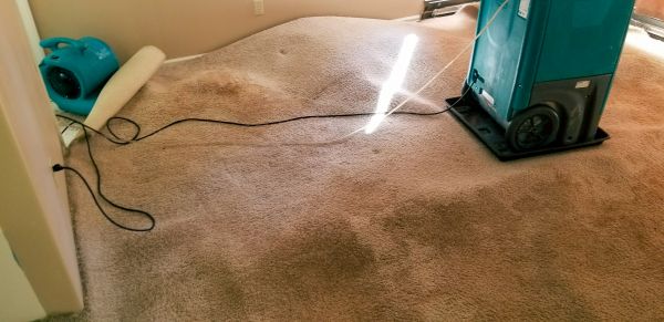Flood Damage Cleanup in Leland