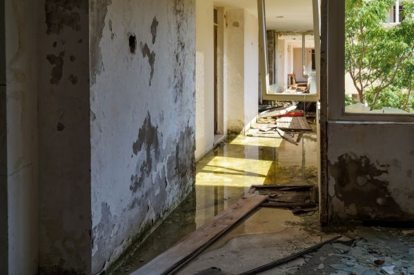 Water Removal Service in Leland