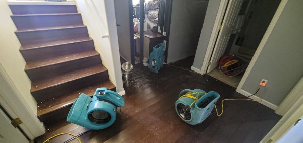 Water Damage Remediation in Leland