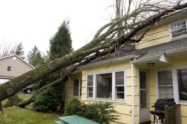 Hurricane Damage Repair in Leland
