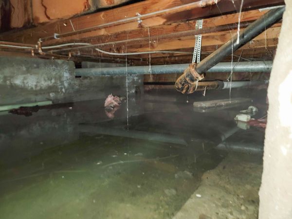 Crawlspace Water Restoration in Leland