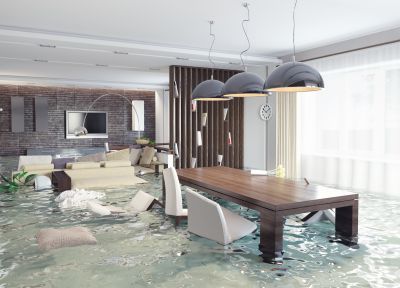 Water Damage Repair